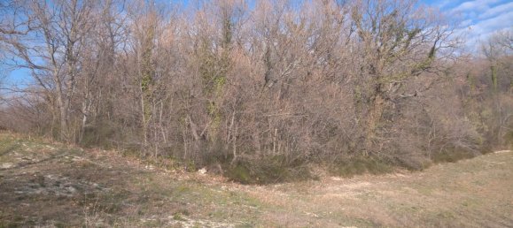 2-Zimmer Haus in Olpe, Germany, Nr. 318250 16