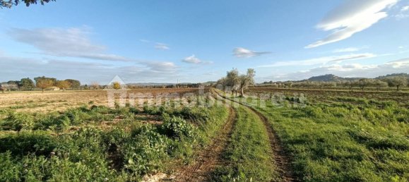 6 غرف نوم منزل في Treia, Italy رقم 232957 19