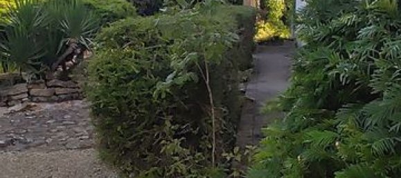 5 chambres Maison à Côte-d'Or, France No. 342786 9