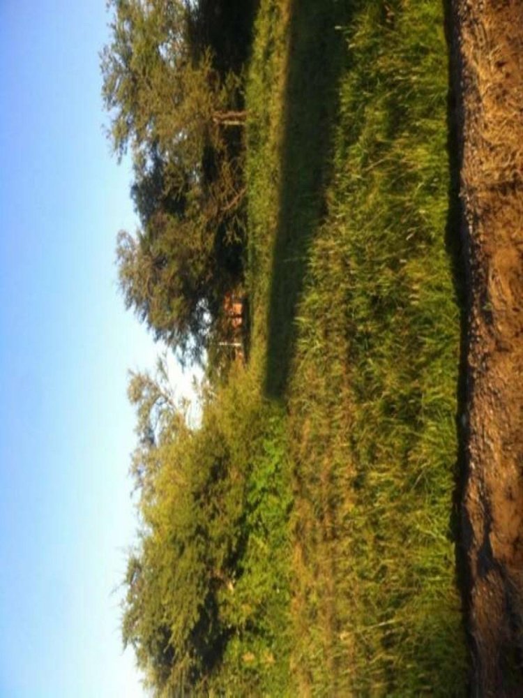  Land in Cordoba, Argentina No. 40327