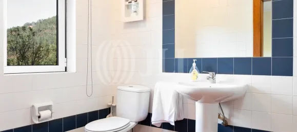 5 bedrooms House in Vieira do Minho, Portugal No. 36782 50