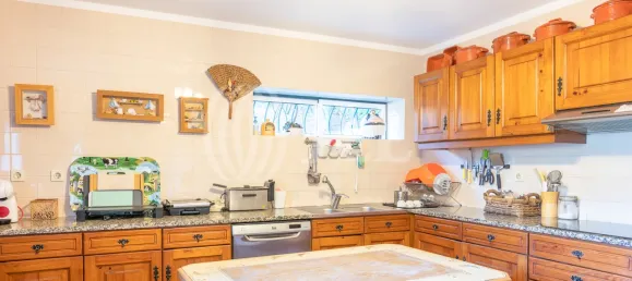 5 bedrooms House in Vieira do Minho, Portugal No. 36782 26