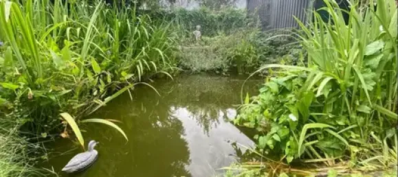 4-Zimmer Haus in Steinburg, Germany, Nr. 288847 6