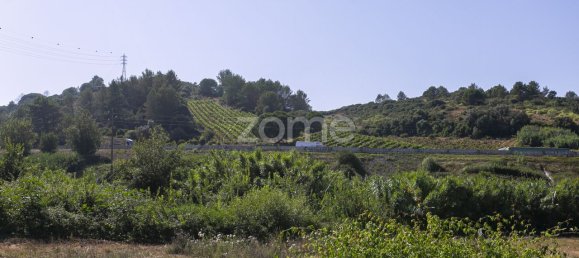 Terreno en Torres Vedras, Portugal 85000 m² No. 81361 24