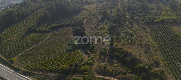 Terreno en Torres Vedras, Portugal 85000 m² No. 81361 17