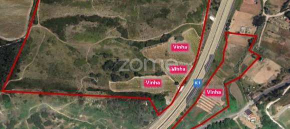 Terreno en Torres Vedras, Portugal 85000 m² No. 81361 10