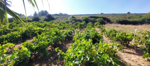 Terreno en Torres Vedras, Portugal 85000 m² No. 81361 5