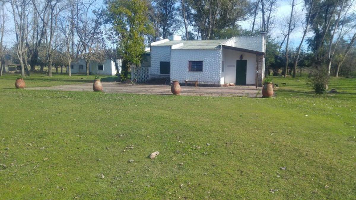 4 Schlafzimmer Haus in Buenos Aires, Argentina, Nr. 65821