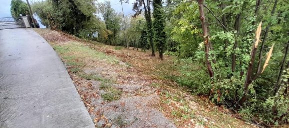 4162m² Land in Grezzana, Italy No. 72171 4