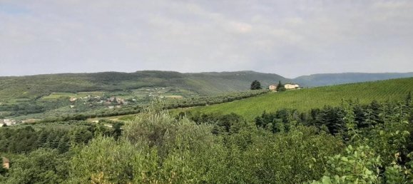 4162m² Land in Grezzana, Italy No. 72171 6
