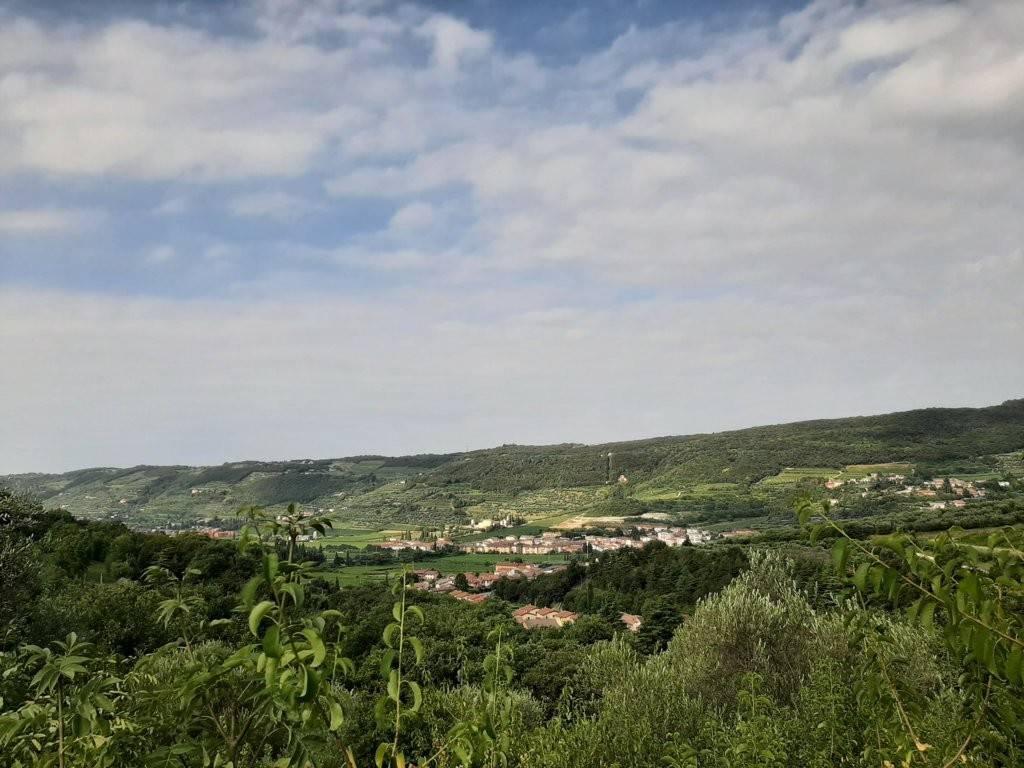 4162m² Land in Grezzana, Italy No. 72171