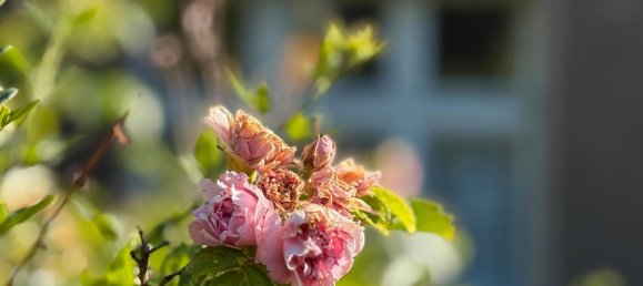 Terreno de 4 divisões em Barnim, Germany N.º 348830 2