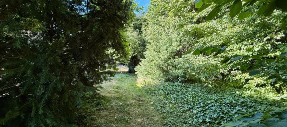 Terreno de 4 divisões em Barnim, Germany N.º 348830 18