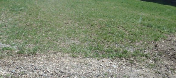 Terrain à Eberndorf, Austria No. 256866 4