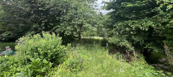 4 غرف نوم تاون هاوس في Zweibrucken, Germany رقم 39022 14