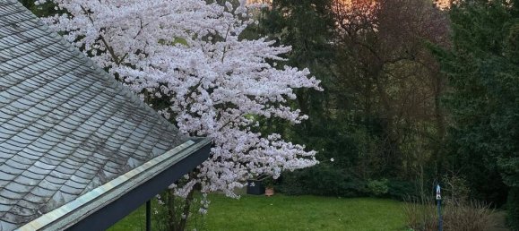 Villa de 4 dormitorios en Cologne, Germany No. 147697 31