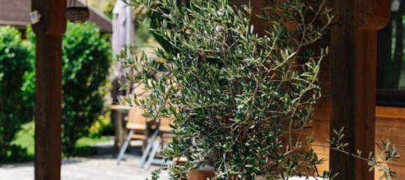 3-Zimmer Haus in Arnoldstein, Austria, Nr. 172484 2