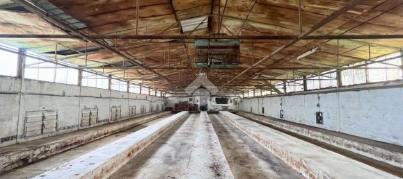 1350m² Warehouse in Molinella, Italy No. 298111 8