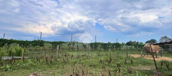 1350m² Warehouse in Molinella, Italy No. 298111 6