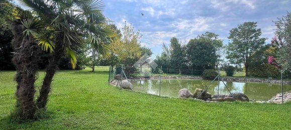 1350m² Warehouse in Molinella, Italy No. 298111 20