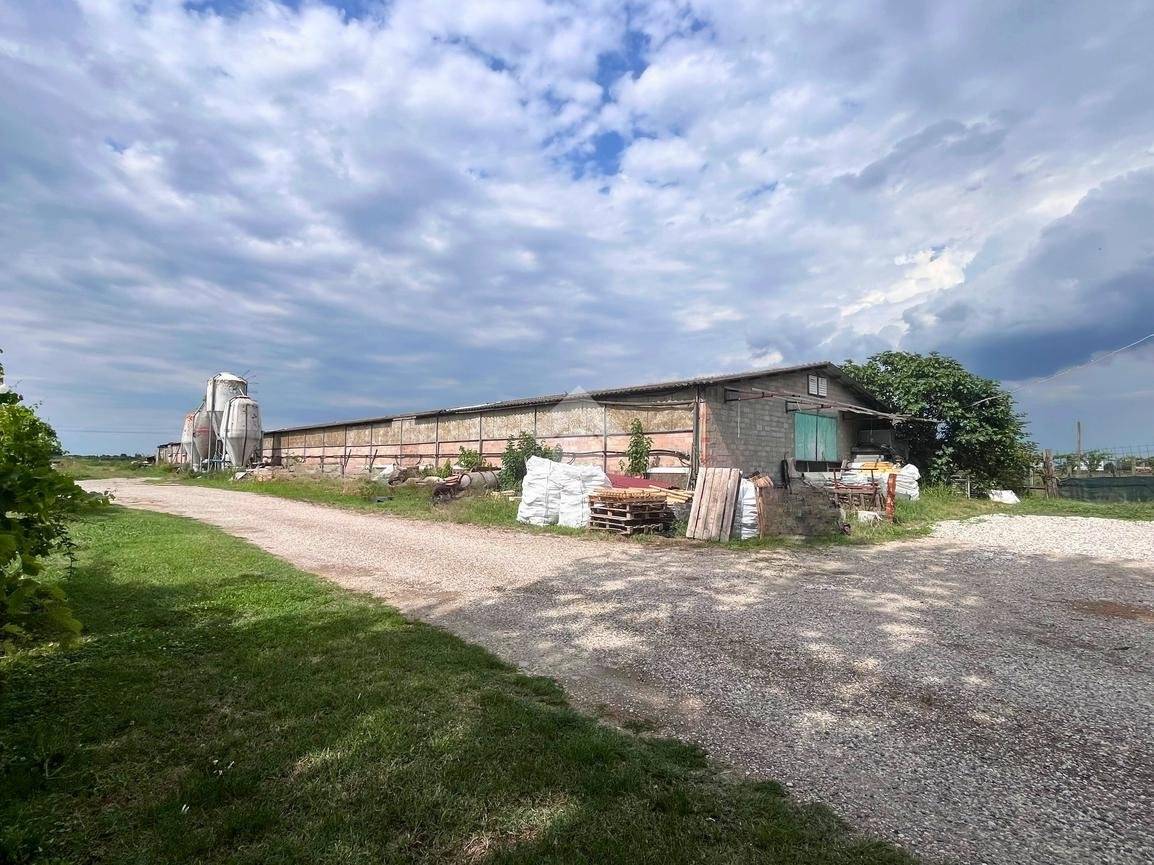 1350m² Warehouse in Molinella, Italy No. 298111