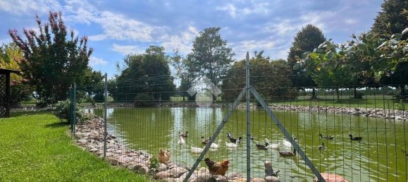 1350m² Warehouse in Molinella, Italy No. 298111 9