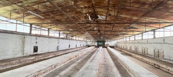 1350m² Warehouse in Molinella, Italy No. 298111 26