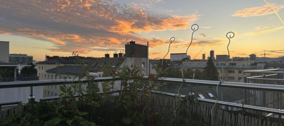 3-Zimmer Wohnung in Wien, Austria, Nr. 250385 8