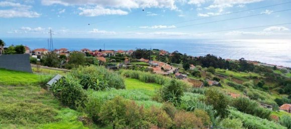 Terreno en Ponta do Sol, Portugal 3339 m² No. 132170 18