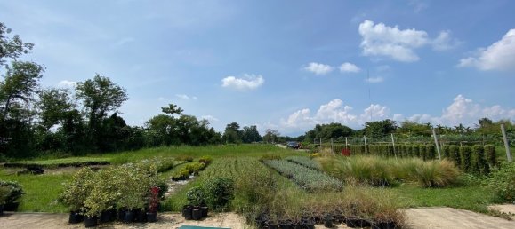 20 bedrooms Commercial property in Chiang Mai, Thailand No. 21883 5