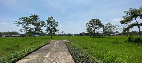 20 bedrooms Commercial property in Chiang Mai, Thailand No. 21883 7