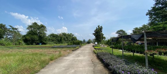 20 bedrooms Commercial property in Chiang Mai, Thailand No. 21883 2