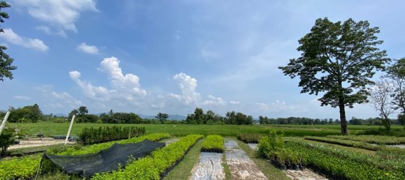 20 bedrooms Commercial property in Chiang Mai, Thailand No. 21883 4