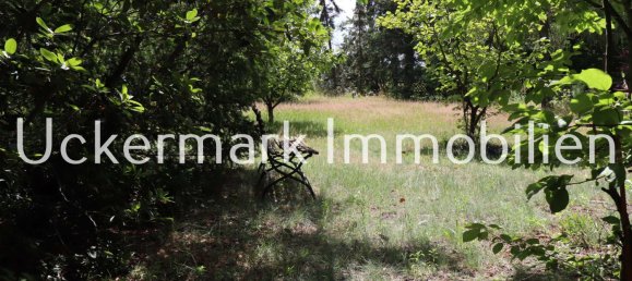 1 chambre Maison à Dahme-Spreewald, Germany No. 44790 6
