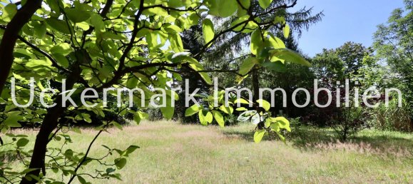 1 chambre Maison à Dahme-Spreewald, Germany No. 44790 13