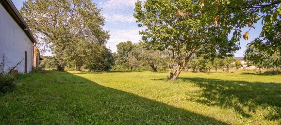 2 غرف نوم مزرعة في Potsdam-Mittelmark, Germany رقم 273792 27