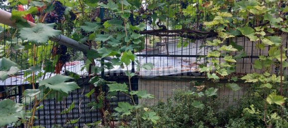 Casa T1 em Pennapiedimonte, Italy N.º 349959 12