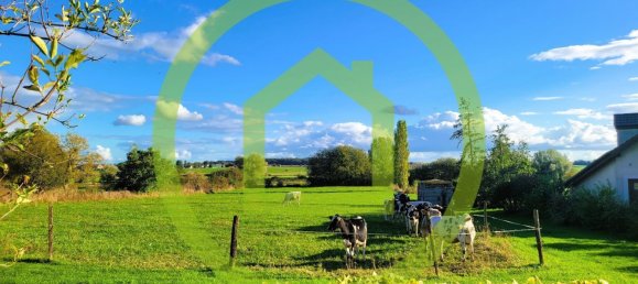 4 غرف نوم منزل في Mulcey, France رقم 228315 13