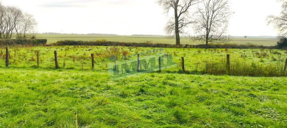 3 chambres Maison à Saint-Pol-sur-Ternoise, France No. 43684 12