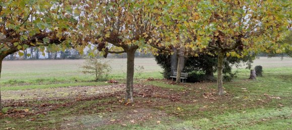 4 bedrooms House in Massay, France No. 159821 17