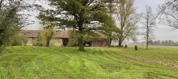 4 bedrooms House in Massay, France No. 159821 18