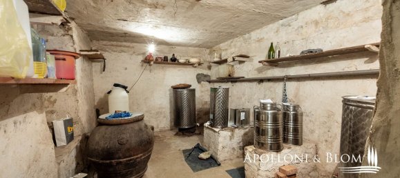 46-Zimmer Villa in Florence, Italy, Nr. 120176 46