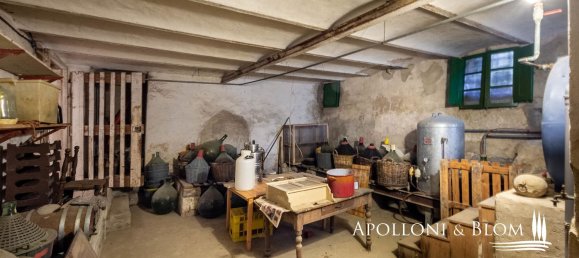 46-Zimmer Villa in Florence, Italy, Nr. 120176 41