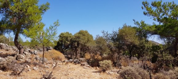 Hotel em Agios Nikolaos, Greece 14565 m² N.º 4524 2