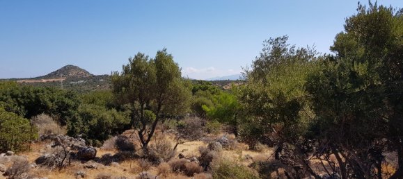 14565m² Hotel in Agios Nikolaos, Greece No. 4524 3