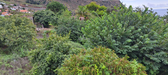  Land in Calheta, Portugal No. 143457 11
