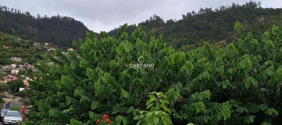  Land in Calheta, Portugal No. 143457 7