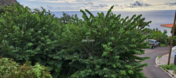  Land in Calheta, Portugal No. 143457 8