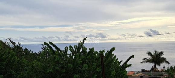  Land in Calheta, Portugal No. 143457 4