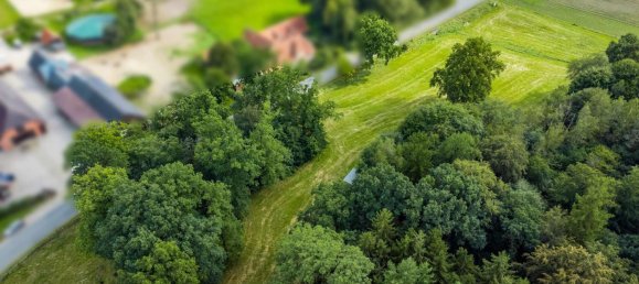 10غرفة مزرعة في Celle, Germany رقم 276657 23